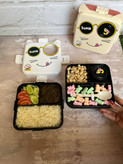 ظرف غذا پرطرفدار واشر دار گربه